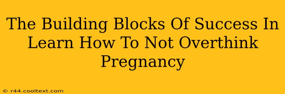 The Building Blocks Of Success In Learn How To Not Overthink Pregnancy