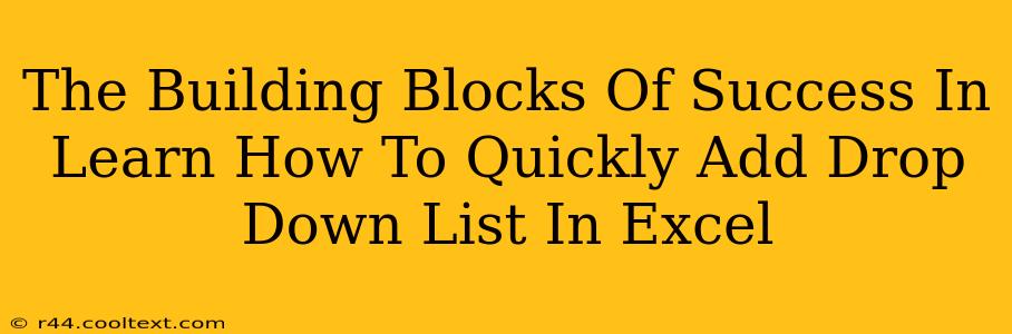 The Building Blocks Of Success In Learn How To Quickly Add Drop Down List In Excel