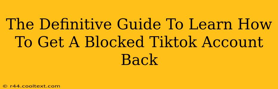 The Definitive Guide To Learn How To Get A Blocked Tiktok Account Back