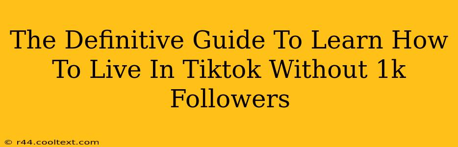 The Definitive Guide To Learn How To Live In Tiktok Without 1k Followers