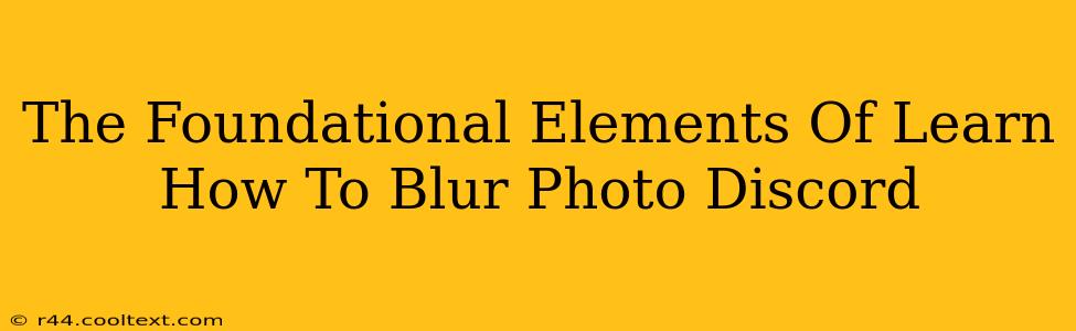 The Foundational Elements Of Learn How To Blur Photo Discord