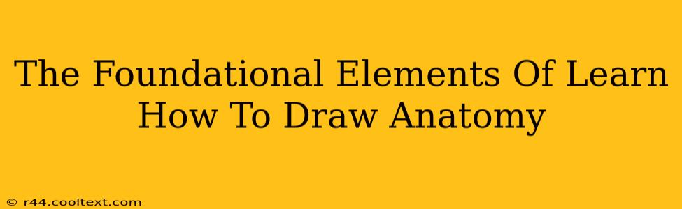 The Foundational Elements Of Learn How To Draw Anatomy