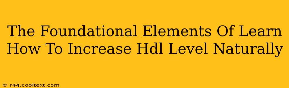 The Foundational Elements Of Learn How To Increase Hdl Level Naturally