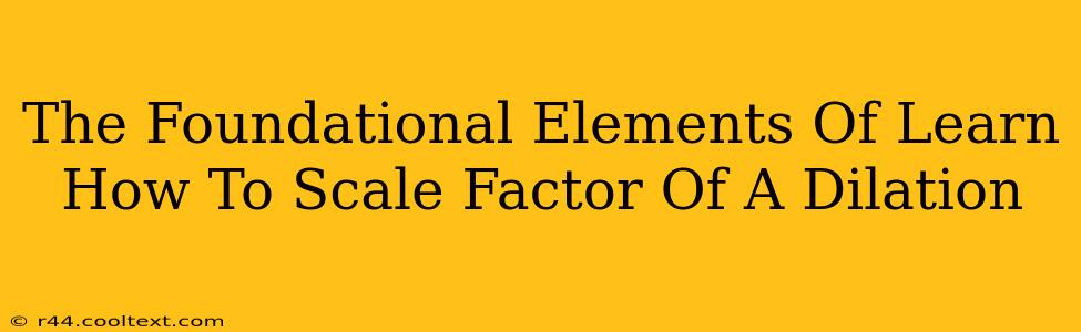 The Foundational Elements Of Learn How To Scale Factor Of A Dilation