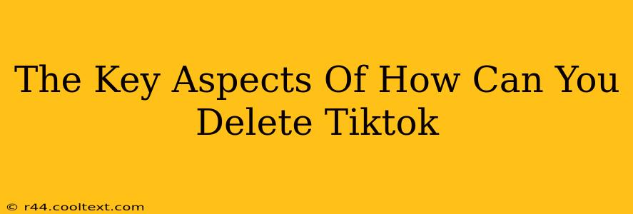 The Key Aspects Of How Can You Delete Tiktok