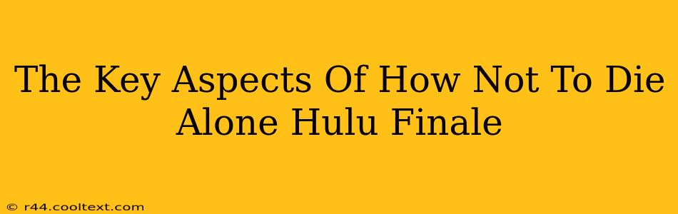 The Key Aspects Of How Not To Die Alone Hulu Finale