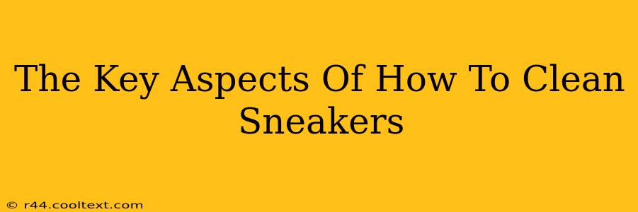 The Key Aspects Of How To Clean Sneakers