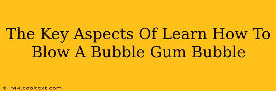 The Key Aspects Of Learn How To Blow A Bubble Gum Bubble