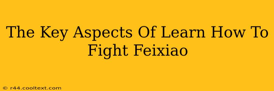 The Key Aspects Of Learn How To Fight Feixiao