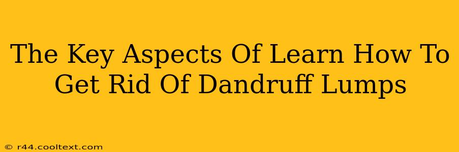 The Key Aspects Of Learn How To Get Rid Of Dandruff Lumps