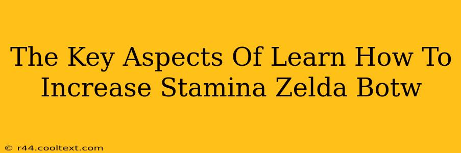 The Key Aspects Of Learn How To Increase Stamina Zelda Botw