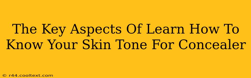 The Key Aspects Of Learn How To Know Your Skin Tone For Concealer