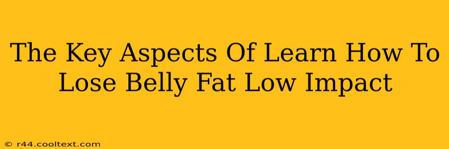 The Key Aspects Of Learn How To Lose Belly Fat Low Impact