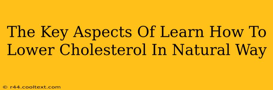 The Key Aspects Of Learn How To Lower Cholesterol In Natural Way