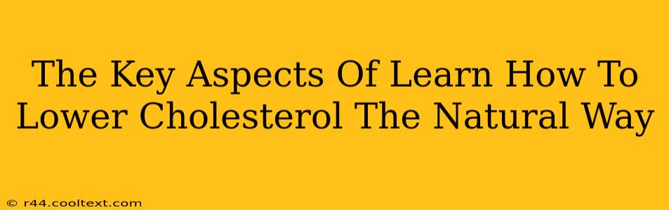 The Key Aspects Of Learn How To Lower Cholesterol The Natural Way