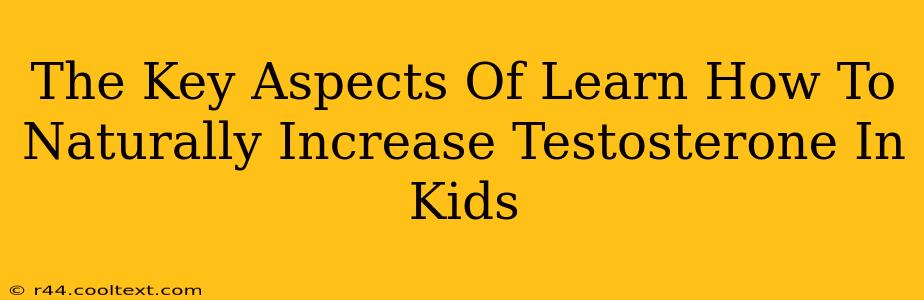 The Key Aspects Of Learn How To Naturally Increase Testosterone In Kids