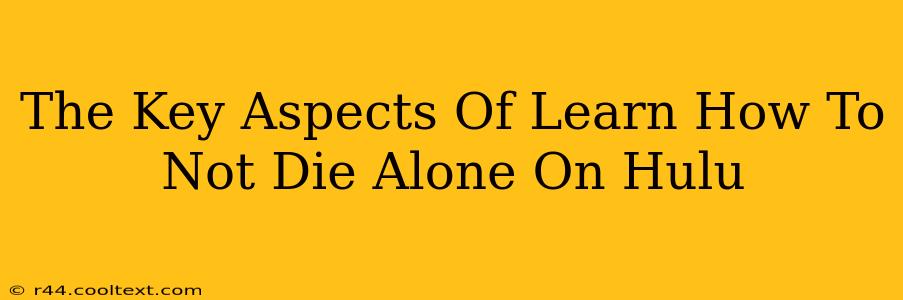 The Key Aspects Of Learn How To Not Die Alone On Hulu