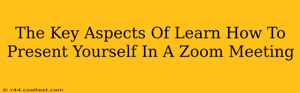 The Key Aspects Of Learn How To Present Yourself In A Zoom Meeting