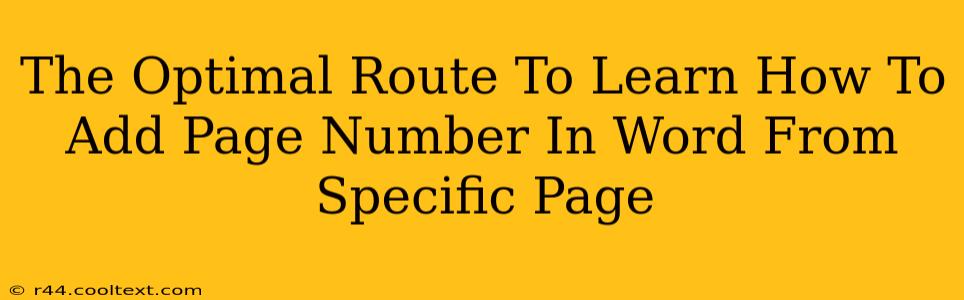 The Optimal Route To Learn How To Add Page Number In Word From Specific Page