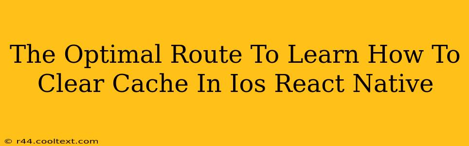 The Optimal Route To Learn How To Clear Cache In Ios React Native