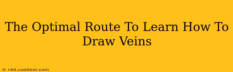 The Optimal Route To Learn How To Draw Veins