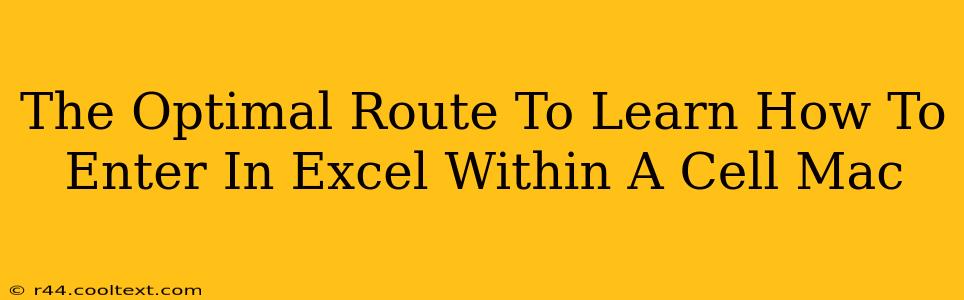 The Optimal Route To Learn How To Enter In Excel Within A Cell Mac