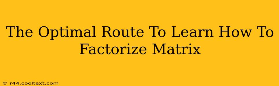 The Optimal Route To Learn How To Factorize Matrix