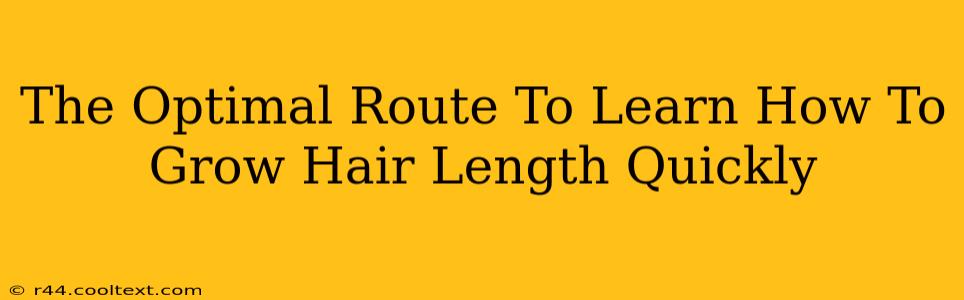 The Optimal Route To Learn How To Grow Hair Length Quickly