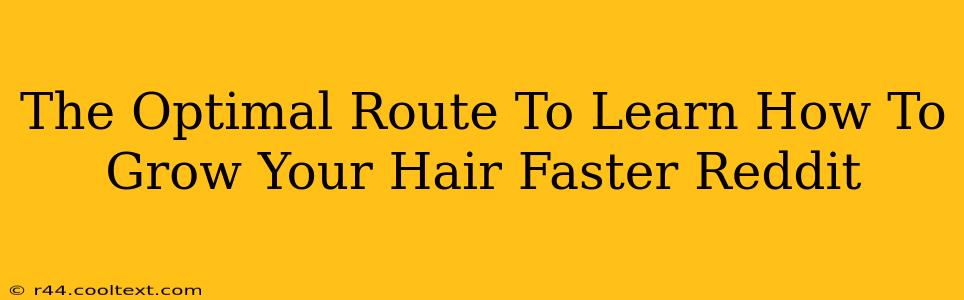 The Optimal Route To Learn How To Grow Your Hair Faster Reddit