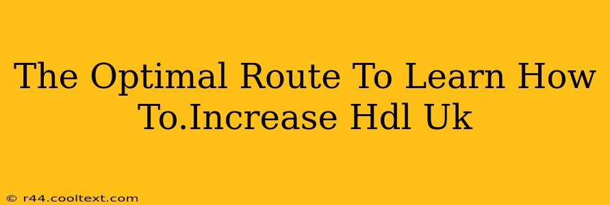 The Optimal Route To Learn How To.Increase Hdl Uk