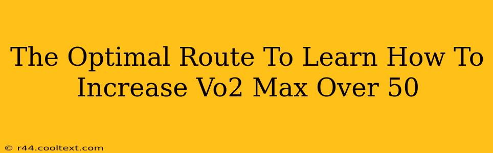 The Optimal Route To Learn How To Increase Vo2 Max Over 50