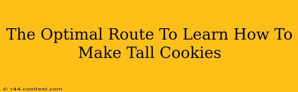 The Optimal Route To Learn How To Make Tall Cookies