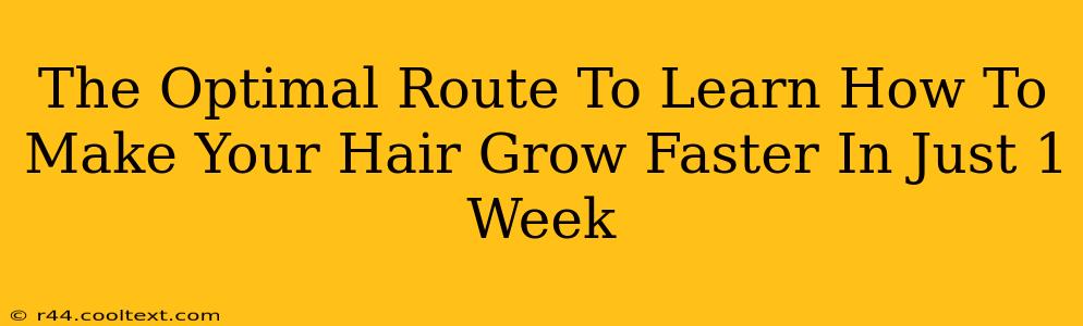 The Optimal Route To Learn How To Make Your Hair Grow Faster In Just 1 Week