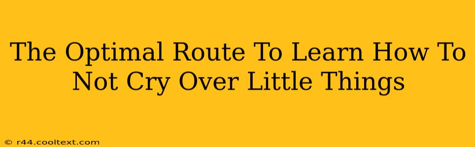 The Optimal Route To Learn How To Not Cry Over Little Things