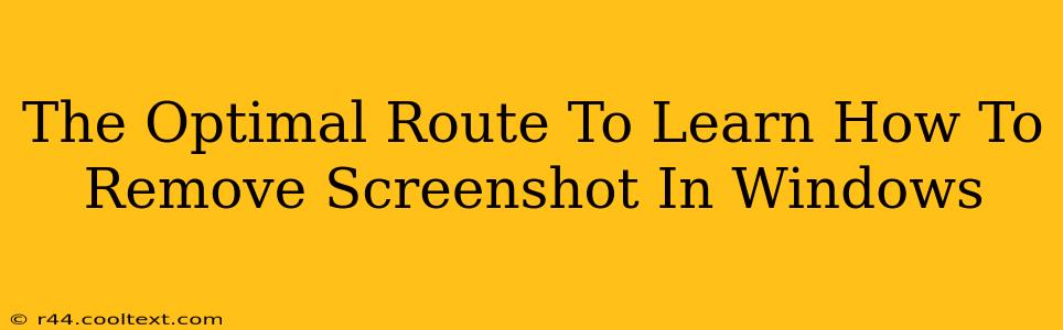 The Optimal Route To Learn How To Remove Screenshot In Windows