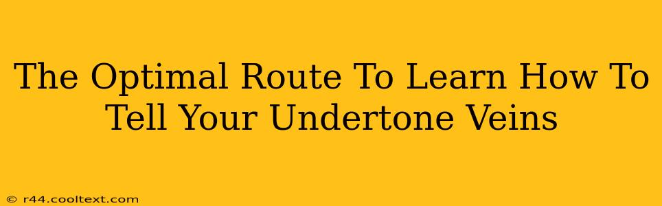 The Optimal Route To Learn How To Tell Your Undertone Veins