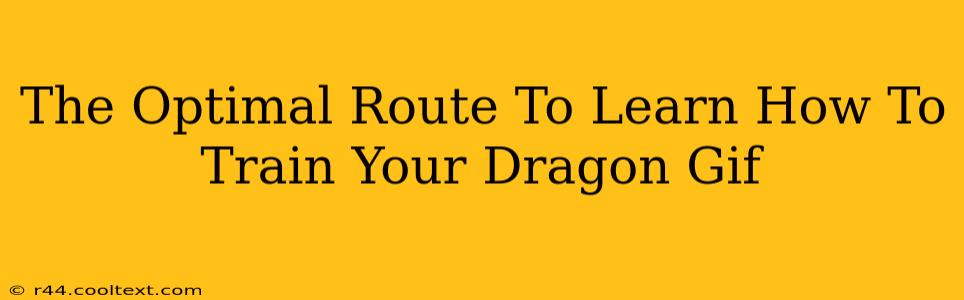 The Optimal Route To Learn How To Train Your Dragon Gif