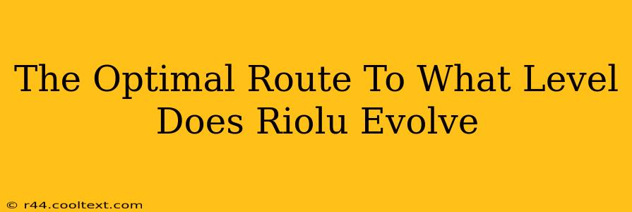 The Optimal Route To What Level Does Riolu Evolve