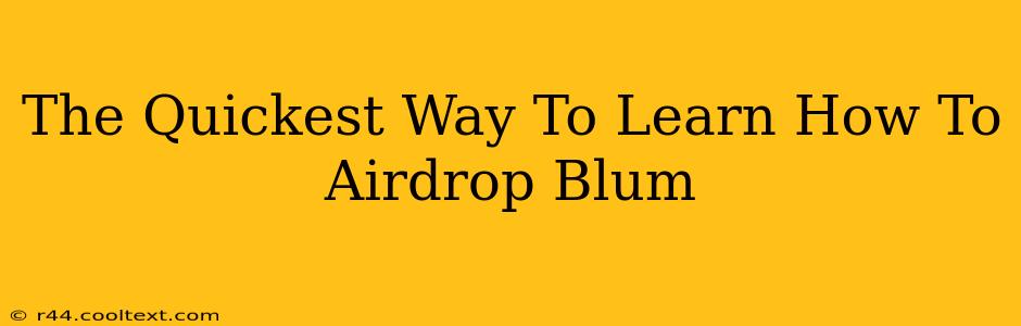 The Quickest Way To Learn How To Airdrop Blum