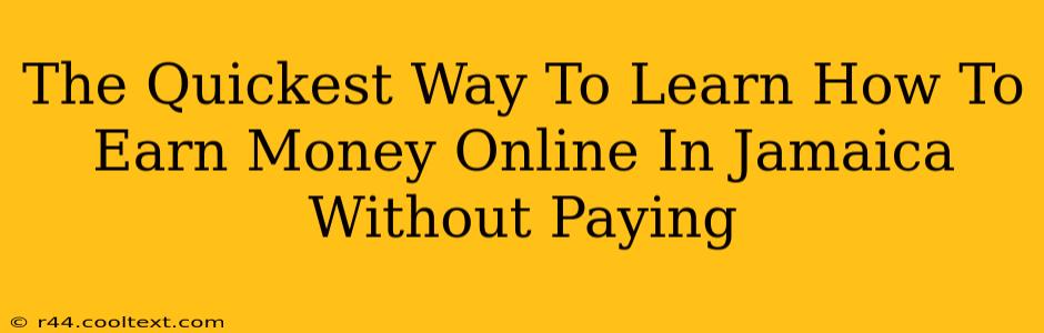 The Quickest Way To Learn How To Earn Money Online In Jamaica Without Paying