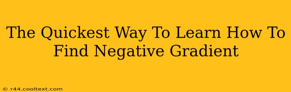 The Quickest Way To Learn How To Find Negative Gradient