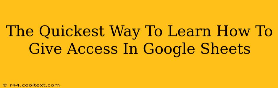 The Quickest Way To Learn How To Give Access In Google Sheets