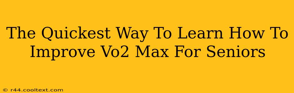 The Quickest Way To Learn How To Improve Vo2 Max For Seniors