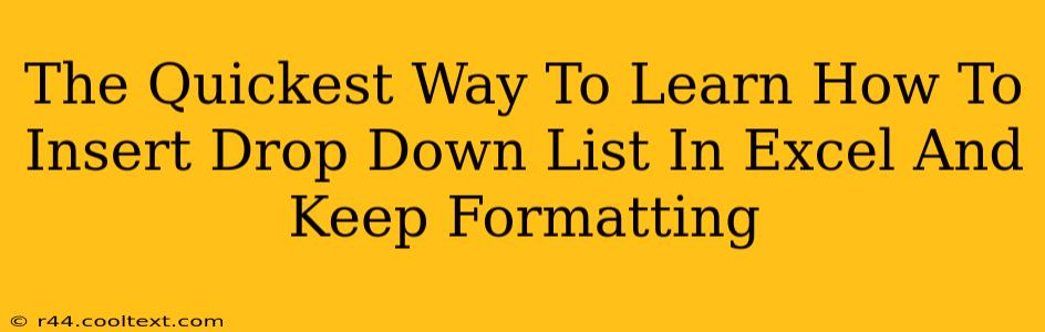 The Quickest Way To Learn How To Insert Drop Down List In Excel And Keep Formatting