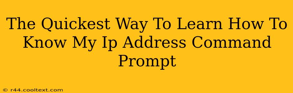 The Quickest Way To Learn How To Know My Ip Address Command Prompt