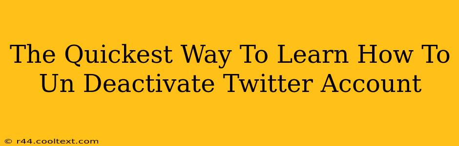 The Quickest Way To Learn How To Un Deactivate Twitter Account