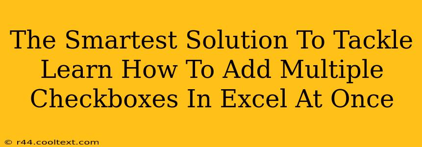 The Smartest Solution To Tackle Learn How To Add Multiple Checkboxes In Excel At Once