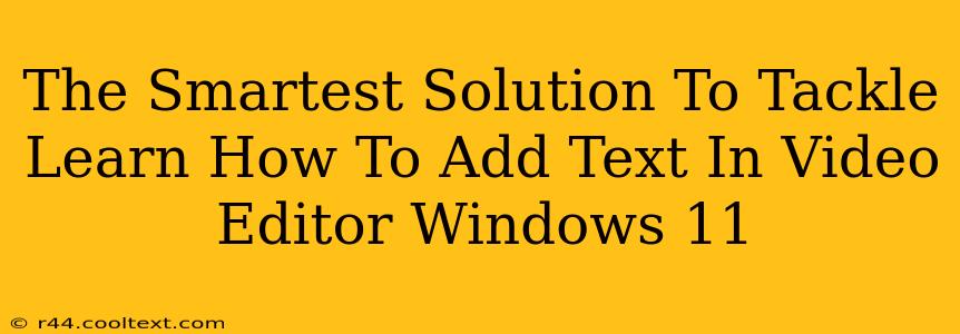 The Smartest Solution To Tackle Learn How To Add Text In Video Editor Windows 11