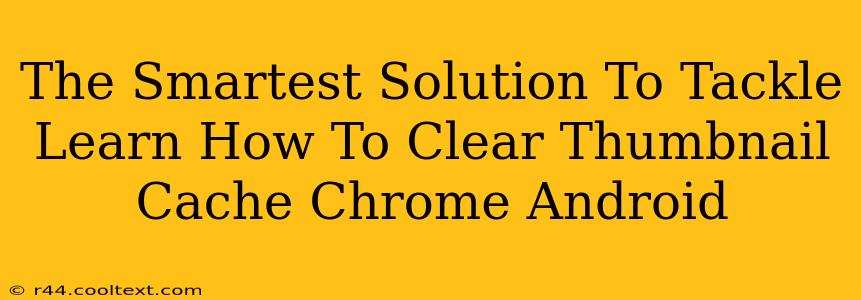 The Smartest Solution To Tackle Learn How To Clear Thumbnail Cache Chrome Android