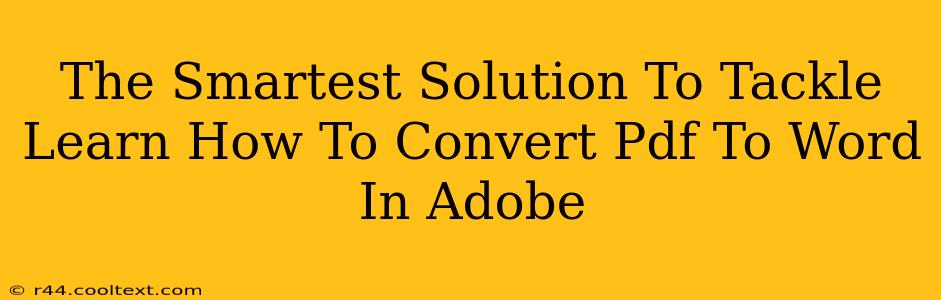 The Smartest Solution To Tackle Learn How To Convert Pdf To Word In Adobe